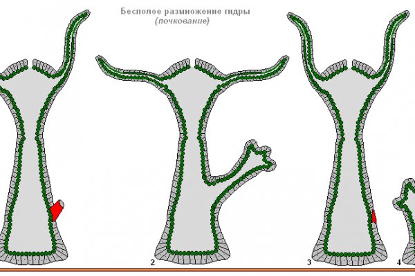 Kraken даркнет маркет