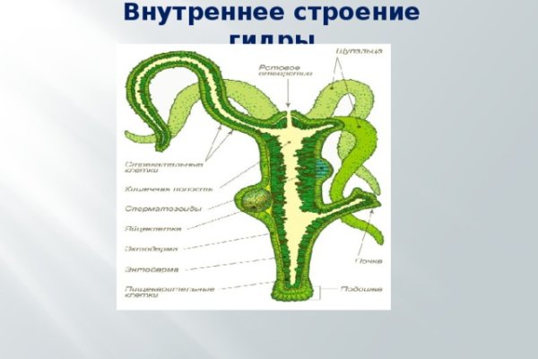 Сайт кракена в торе