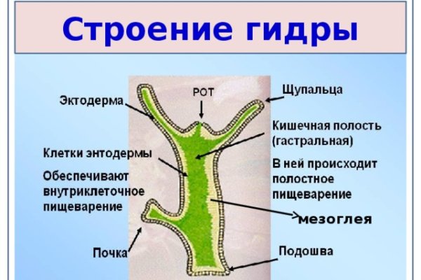 Кракен сайт kr2web